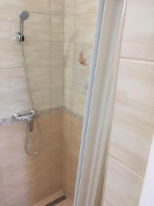 a shower in a bathroom with a glass door at Magnólia Apartman in Sárvár