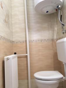 a bathroom with a toilet and a toilet paper dispenser at Magnólia Apartman in Sárvár