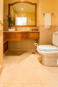 a bathroom with a toilet and a sink and a mirror at Quinta do Estreito in Estreito de Câmara de Lobos