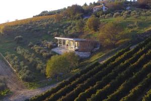 Príroda v okolí of the country house
