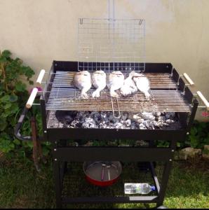 Kemudahan BBQ tersedia untuk tetamu di rumah percutian
