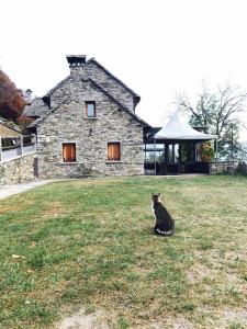 Domáce zviera alebo zvieratá hostí v ubytovaní Agriturismo La Tensa
