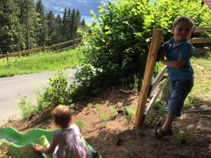 Mynd úr myndasafni af Reinwalds Almhütte í Millstatt