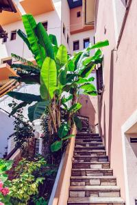 una escalera que conduce a un edificio con plantas verdes en Golden Sun, en Agios Ioannis