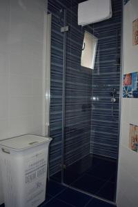 ein Badezimmer mit einer Dusche und einem Mülleimer in der Unterkunft Apartmani Babić in Sevid
