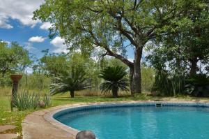 a swimming pool in a yard with trees at Tingala Lodge - Bed in the Bush in Phalaborwa