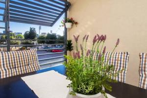 Bazén v ubytování Apartment Bucka nebo v jeho okolí