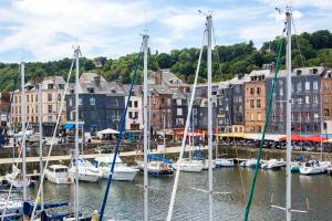 a group of sailboats docked in a harbor with buildings at Appartement Vieux Bassin in Honfleur