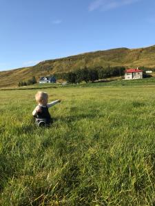 a little boy sitting in the grass in a field at Hamrar in Einarsstaðir