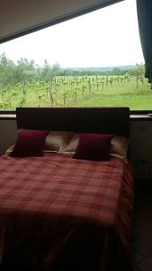 a bed in a room with a view of a field at Casaletto In Maremma a Magliano in Magliano in Toscana