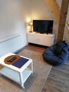 una sala de estar con TV y una silla con bolsa de frijoles en Marmotte, en Gérardmer