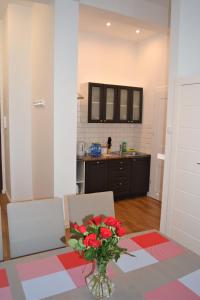 Kuchnia lub aneks kuchenny w obiekcie Apartamenty Jantar