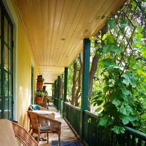 a porch with chairs and a table and trees at Tofvehults Boende in Skaftet