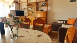 TV a/nebo společenská místnost v ubytování Holiday Home Granić
