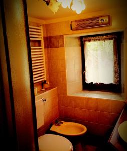 Koupelna v ubytování Appartamento Valle di Gressoney