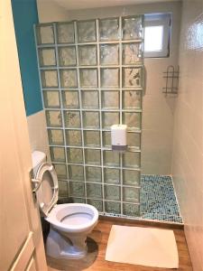 uma casa de banho com um WC e um chuveiro com paredes de vidro. em Kona Apartment em Belgrado