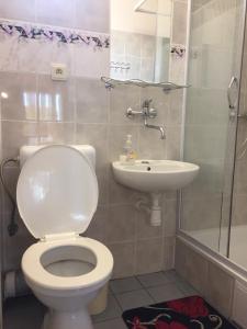 a bathroom with a toilet and a sink at Studio Florida in Štúrovo