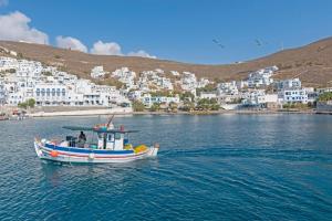 Gallery image of Astynea in Astypalaia Town