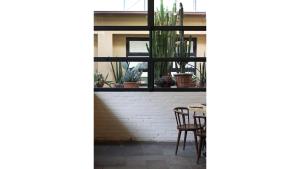 un tavolo e sedie di fronte a una finestra con piante di c-hotels Diplomat a Firenze