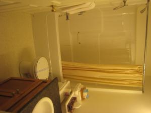 a bathroom with a toilet and a large mirror at Best Continental Motel in Hope