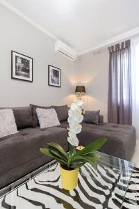 a living room with a couch and a plant on a glass table at Mandalina Suite in Šibenik