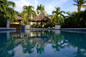 Kolam renang di atau dekat dengan Bananas Apartments Adults Only