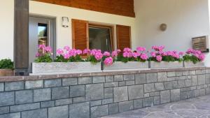 Zahrada ubytování Ferienwohnung Därflihof