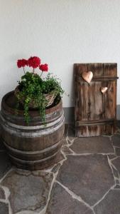 Fotografie z fotogalerie ubytování Ferienwohnung Därflihof v destinaci Bartholomäberg