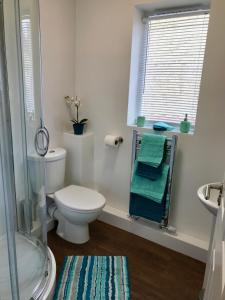 uma casa de banho com um WC, um chuveiro e uma janela. em Upper Highview - Self Catering Apartment, fpventures Stroud em Stroud