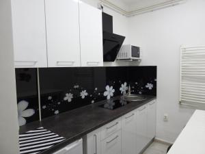 Kuchyň nebo kuchyňský kout v ubytování Sweet Dreams Apartment + 37 fotografií