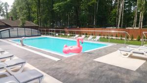 a swimming pool with a pink swan in the middle at Hotel Zacisze in Turawa