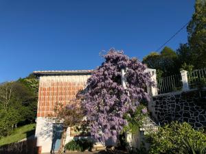 A garden outside La Casita Del Castañar