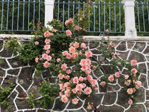 A garden outside La Casita Del Castañar