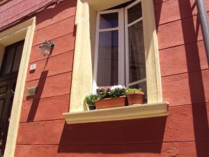 カリアリにあるB&B antica cittàの窓枠に鉢植えの植物が2本ある窓