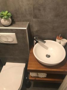 Koupelna v ubytování Apartment Klara