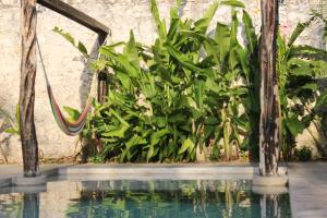 Bassein majutusasutuses Hostal La Ermita või selle lähedal