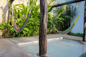 Bassein majutusasutuses Hostal La Ermita või selle lähedal