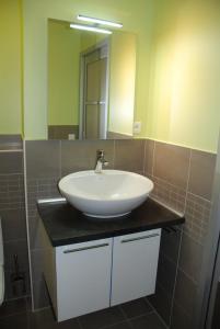 a bathroom with a sink and a mirror at E-Harz Ar Menez in Mont-Dol