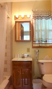 La salle de bains est pourvue d'un lavabo, de toilettes et d'un miroir. dans l'établissement Nordick's Inn, à Lake George