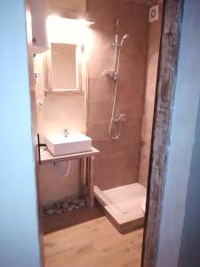 ein Bad mit einem Waschbecken und einer Dusche in der Unterkunft Casa de Laza Apartments in Herceg-Novi