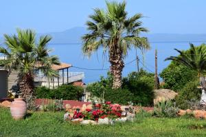 a garden with palm trees and flowers in the grass at Studio Holiday Kalamata 2 in Kalamata