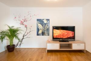 ガルミッシュ・パルテンキルヒェンにあるFantastic Mountains Apartmentの植物のある部屋のスタンドに座るテレビ