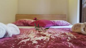 Кровать или кровати в номере Olive Paradise