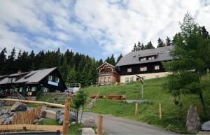 uma casa no lado de uma colina com árvores em AlmDorf Tonnerhütte em Mühlen