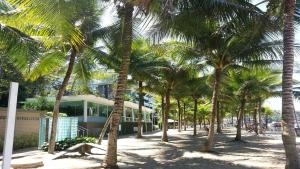 a group of palm trees in front of a building at Angra Super Luxo in Mangaratiba