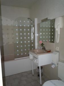 a bathroom with a sink and a shower and a toilet at La Croix Blanche in Montrichard