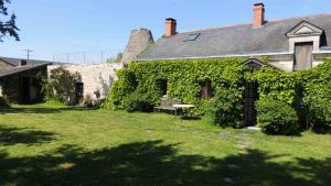 una casa cubierta de hiedra con un banco en el patio en Moulin de la Placette, en Faye-dʼAnjou