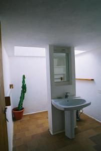 a bathroom with a sink and a cactus at Casa Andrea in Sant Francesc Xavier