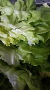 a close up of a green lettuce at Hotel Bukor Shtepi Magnolia in Mandrica