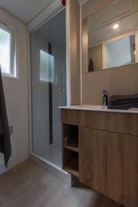 a bathroom with a shower and a sink and a mirror at Camping Ettelbruck in Ettelbruck